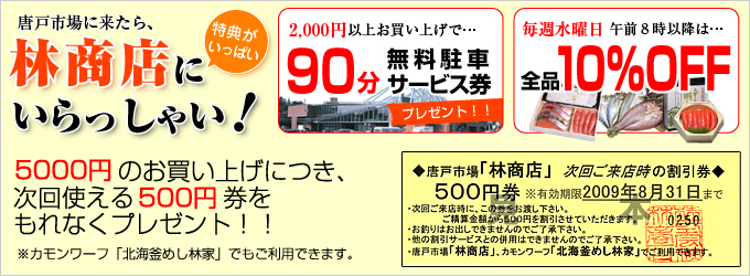���ˎs��ɗ�����A�я��X�ɂ�������Ⴂ�I