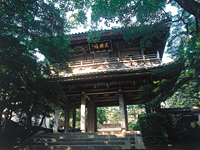 唐戸市場　林商店　明太子　ふぐ
