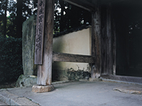 唐戸市場　林商店　明太子　ふぐ
