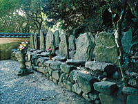 唐戸市場 林商店 明太子 ふぐ