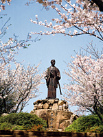 唐戸市場 林商店 明太子 ふぐ